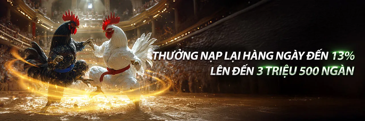 Tổng quan các ưu đãi mới nhất tại BQ88 Nhà Cái